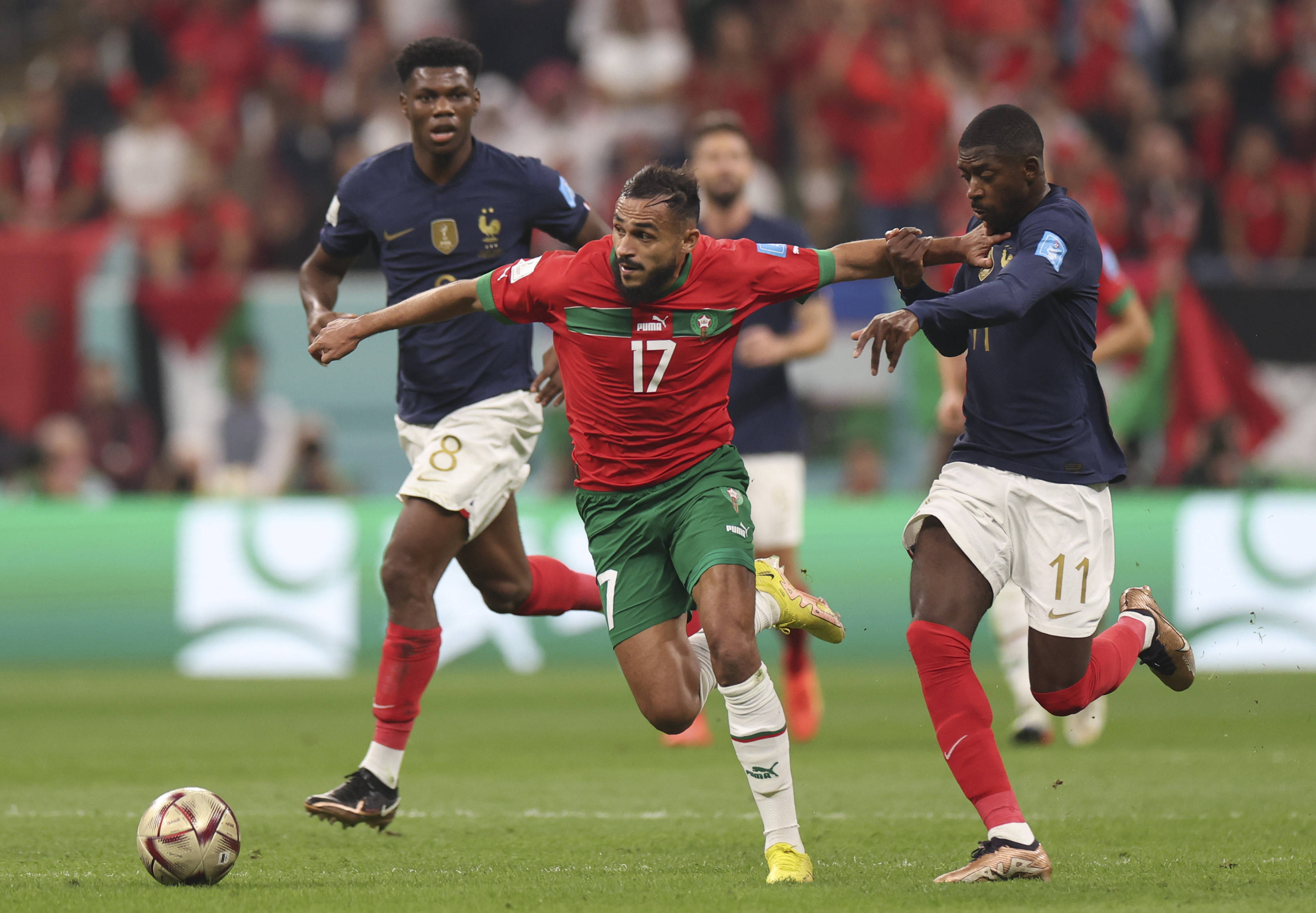 洲6冠王 洲6冠王