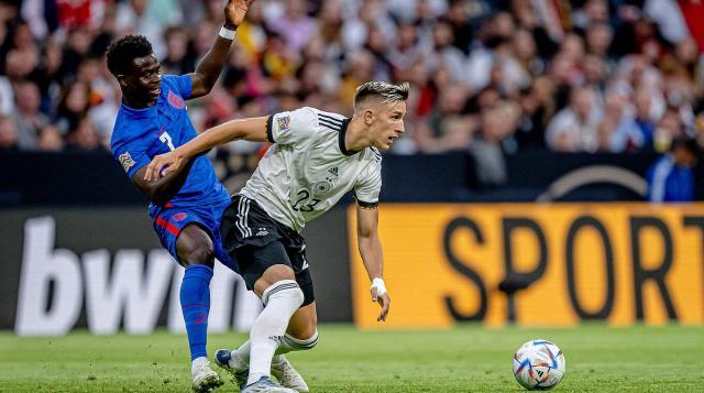 了观赏性 了观赏性