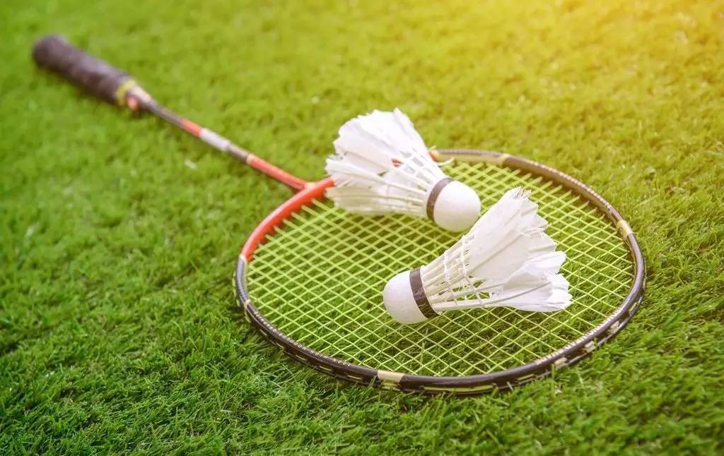 奎桑提塑造 奎桑提塑造